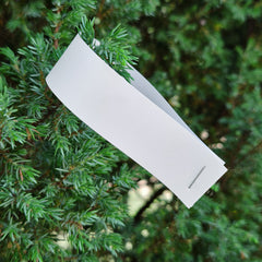 Collection image for: Étiquettes pour arbres