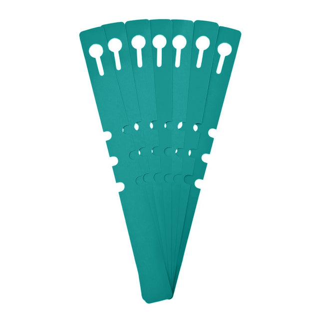 Étiquettes à boucle - 210 x 20 mm - 100 étiquettes