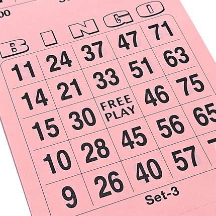 Bloc Bingo - 3000 tickets