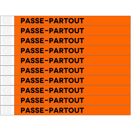 Bracelets Passe-partout Tyrex - 100 bracelets
