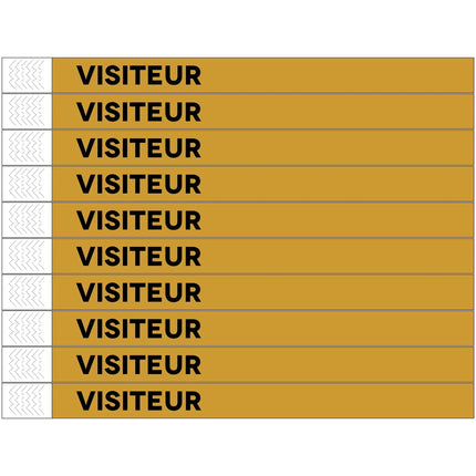 Bracelets Visiteur Tyrex - 100 bracelets