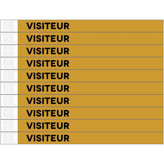 Bracelets Visiteur Tyrex - 100 bracelets