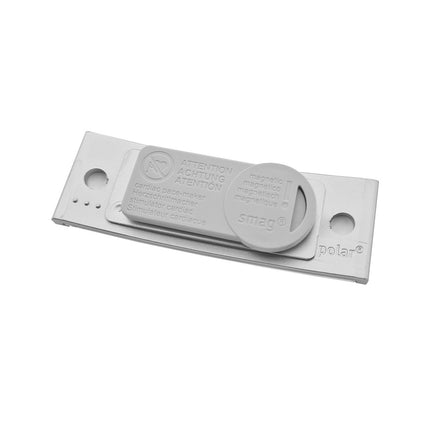 Badge nominatif argenté vierge Polar avec aimant - par pièce