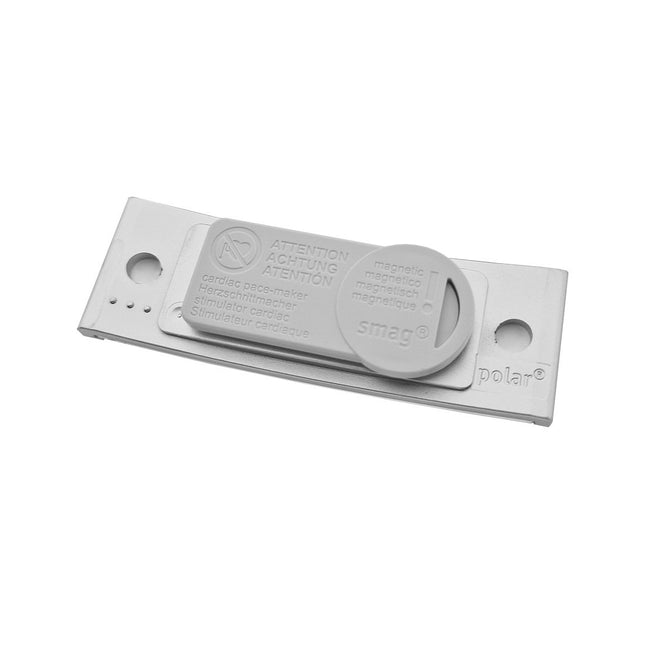 Badge nominatif argenté vierge Polar avec aimant - par pièce