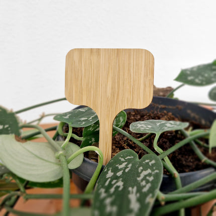 Étiquettes à piquer bambou - 100 x 60 mm - 100 étiquettes