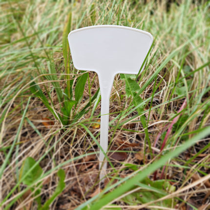 Étiquettes à planter plastique - 260 x 120 mm - 10 étiquettes