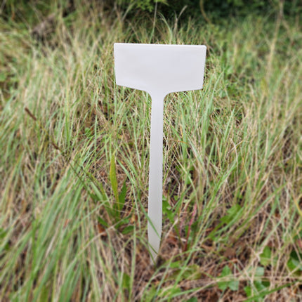 Étiquettes à planter plastique - 590 x 150 mm - 10 étiquettes