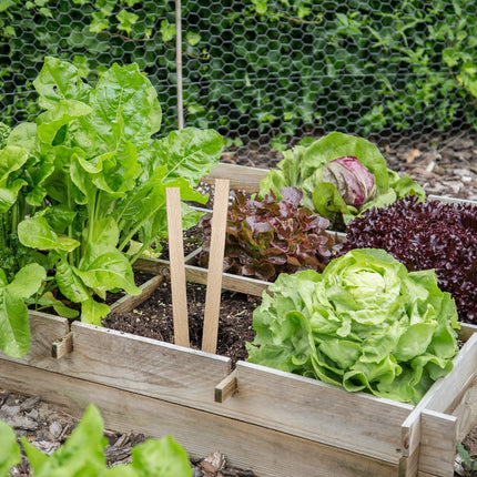 Étiquettes à piquer en bois - 258 x 16 mm - 10 étiquettes