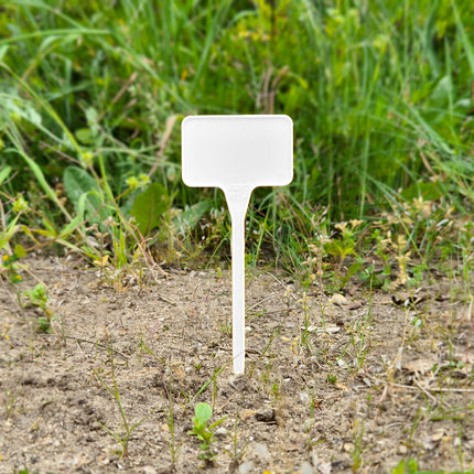 Étiquettes à planter plastique - 55 x 35 mm - 10 étiquettes