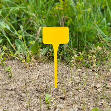 Étiquettes à planter plastique - 55 x 35 mm - 10 étiquettes
