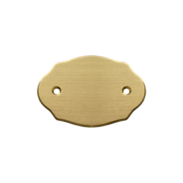 Plaque de porte vierge en laiton - 75 x 50 mm - par pièce