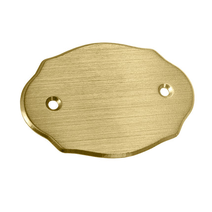 Plaque de porte vierge en laiton - 75 x 50 mm - par pièce