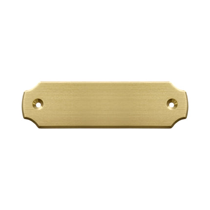 Plaque de porte vierge en laiton - 100 x 28 mm - par pièce