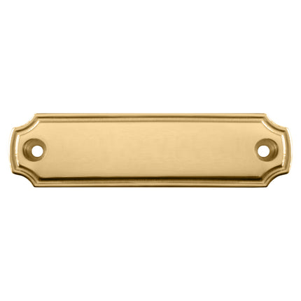 Plaque de porte vierge en laiton - 100 x 27 mm - par pièce