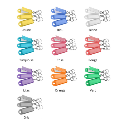 Porte-clés étiquettes avec émerillon - 60 x 22 mm - 100 pièces