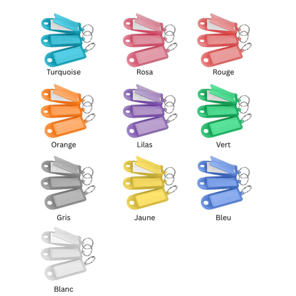Porte-clés étiquettes ensemble de 10 couleurs - 60 x 22 mm - 100 pièces