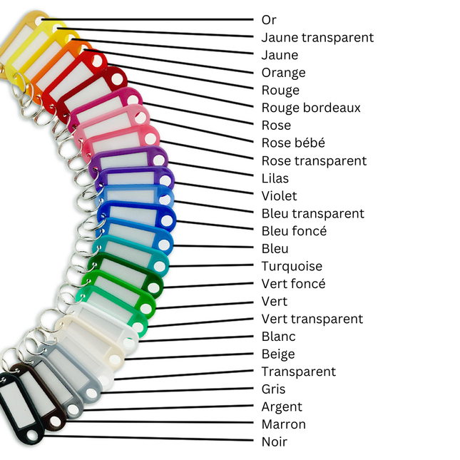 Porte-clés étiquettes - 55 x 22 mm - 50 pièces - ensemble de 25 couleurs