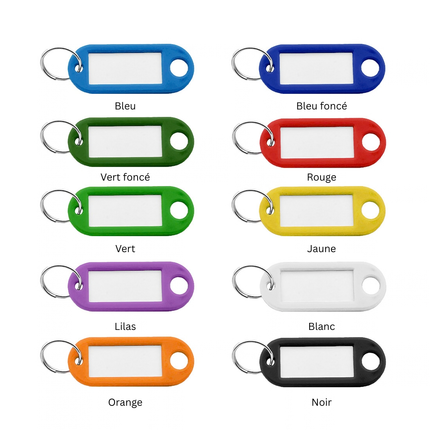 Porte-clés étiquettes ensemble de 10 couleurs - 55 x 22 mm - 100 pièces